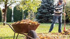 Garden Waste Removal Leeds